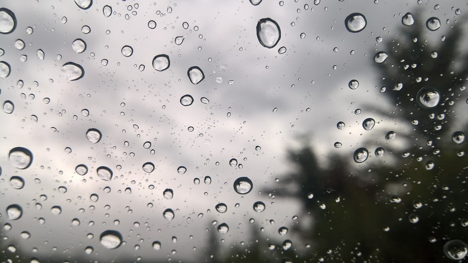 Que significa soñar con lluvia. Que significa soñar con lluvia.
