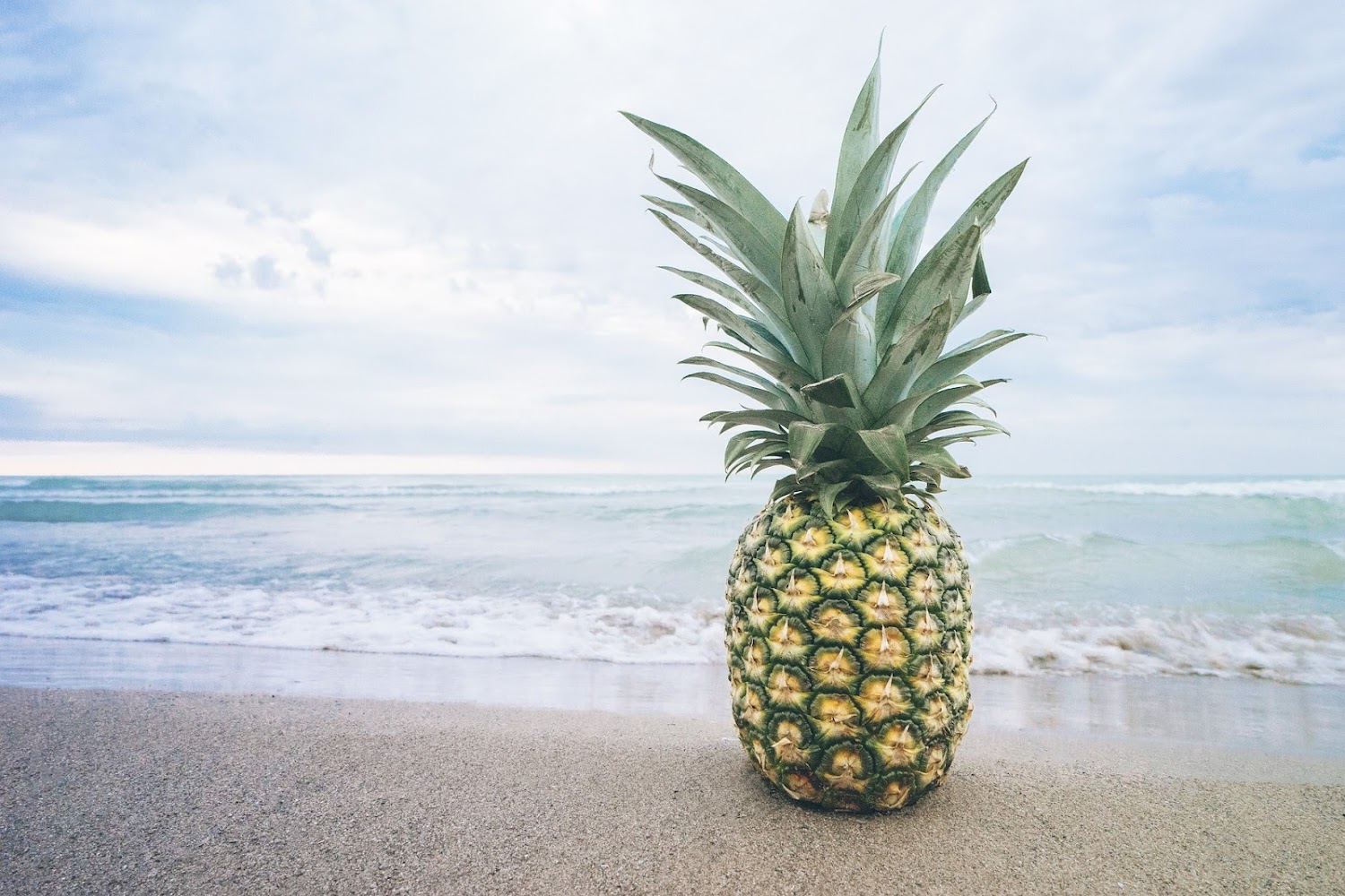 Que significa soñar con piña.