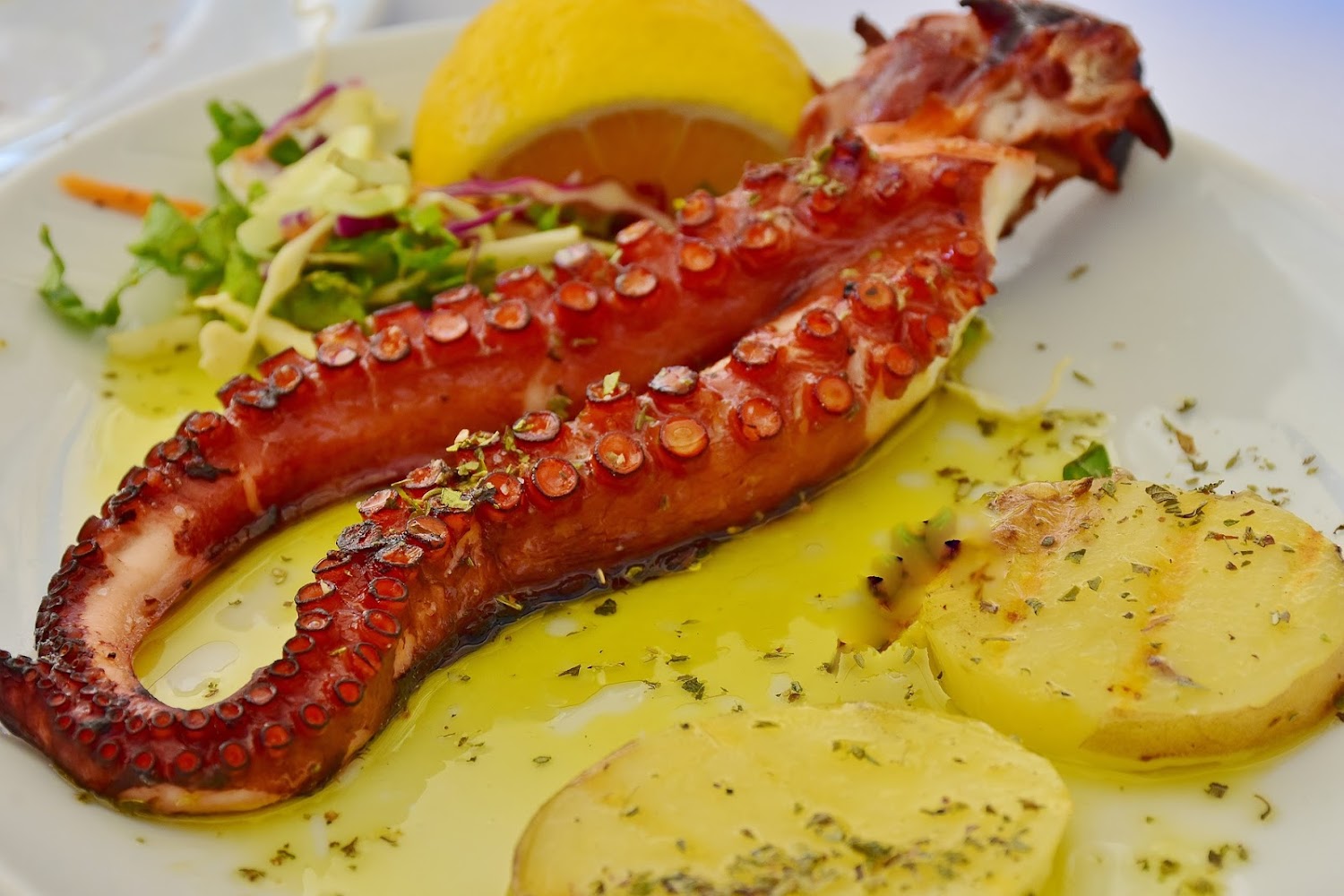 Que significa soñar con pulpo.